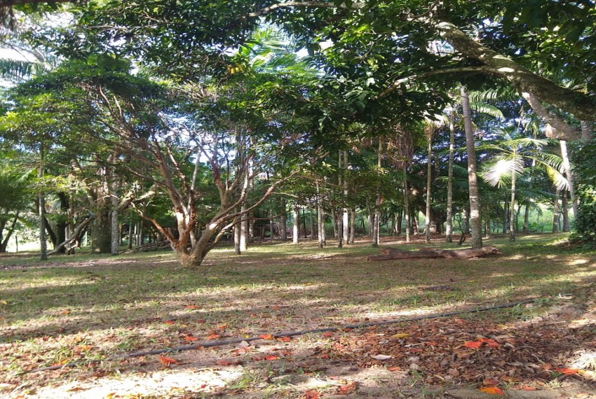 Lindo Sitio a venda